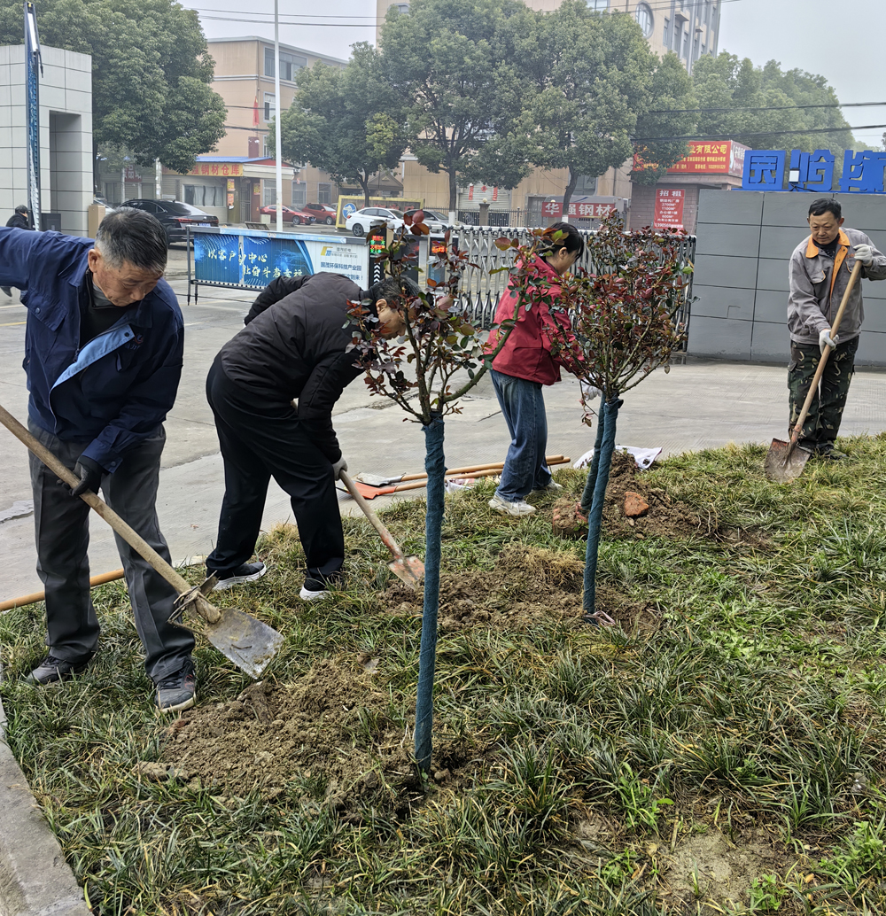 植樹節(jié)-齊心添新綠 共建生態(tài)美廠區(qū)